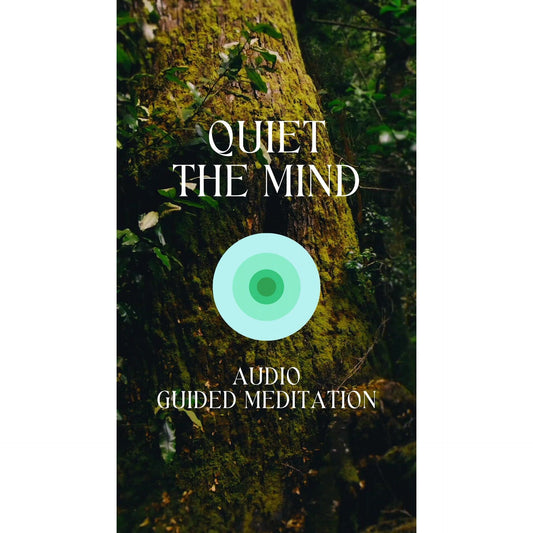 FAST* GUIDED MEDITATION Audio | Mindfulness | Manifestation | Inner Child Healing | Yoga | Astral Travel | Spiritual Transformation |Anxiety